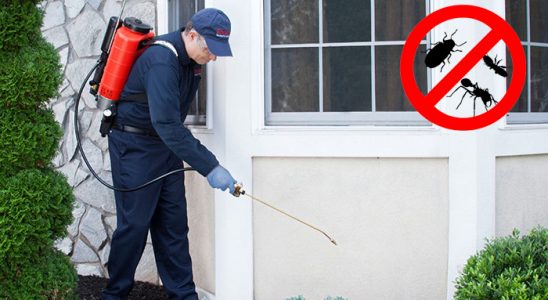 Kozluk Böcek İlaçlama böcek ilaçlama ve haşere kontrolü — ilaclama-tr.com